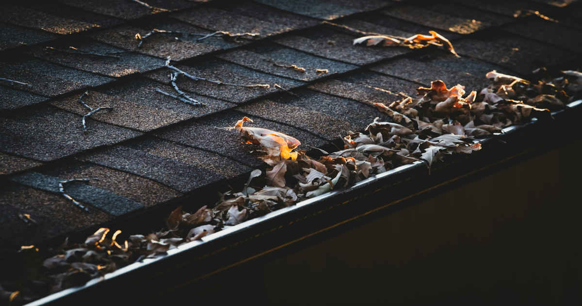 Leaves in a gutter